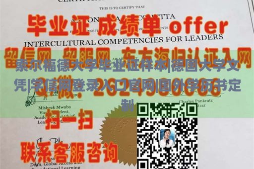 索尔福德大学毕业证样本|德国大学文凭|学信网登录入口官网|国外学历书定制